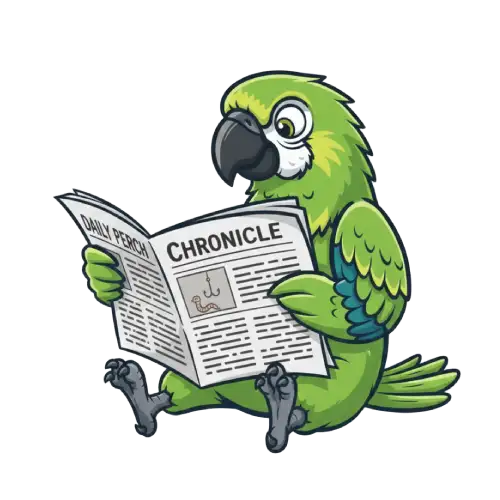 projektowanie sklepu internetowego na ekranie laptopa