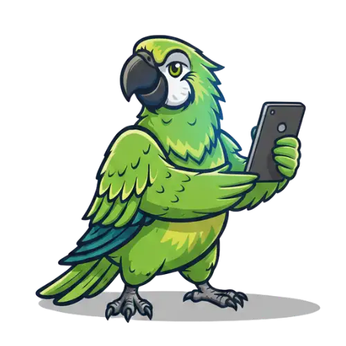 tworzenie sklepów internetowych dla firm