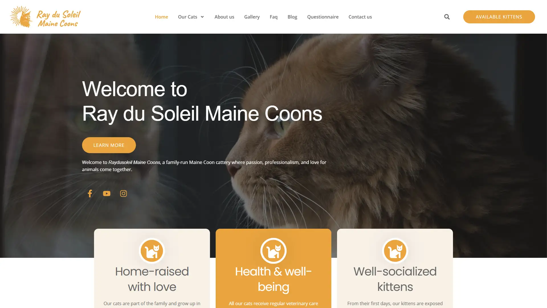 raydusoleil-1.webp